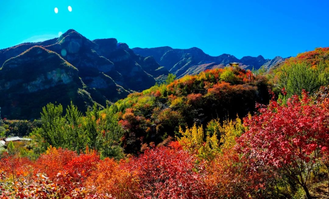 杜文林-秋染坡峰岭.jpg