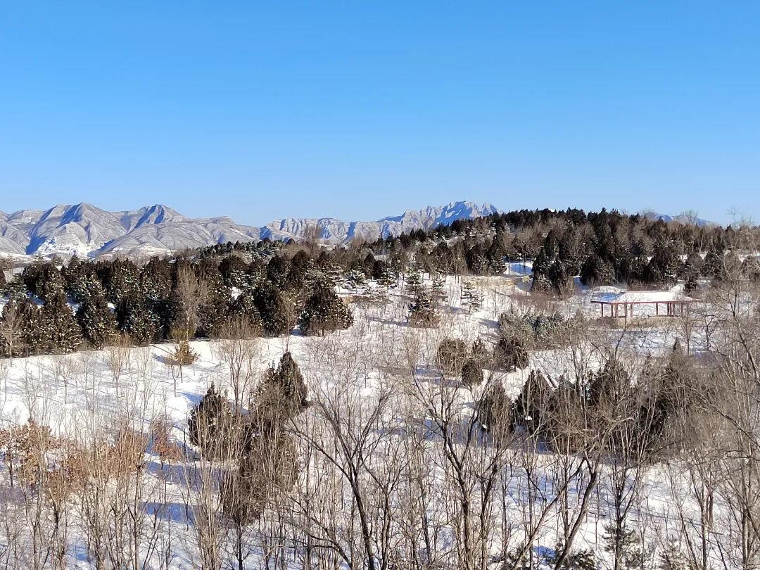 青龙湖森林公园,刘子华.jpg
