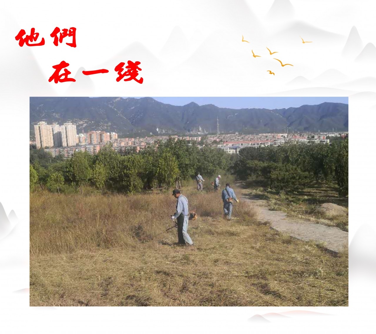 打草.jpg